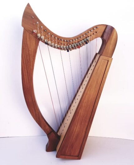 New 22 Strings Celtic Irish Lever Harp